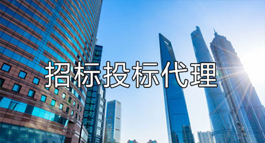 招標(biāo)、投標(biāo)